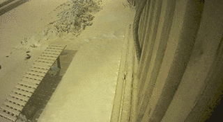 IP-камера WebGlazok с облачным хранилищем для помещения, модель: H0320SI-D2