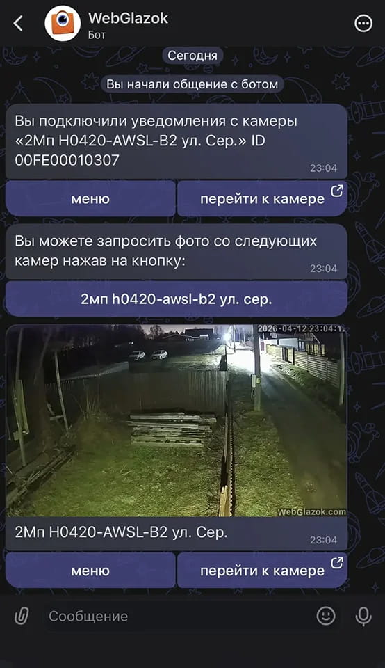 После этого бот будет подключен, и вы начнете получать уведомления с камеры